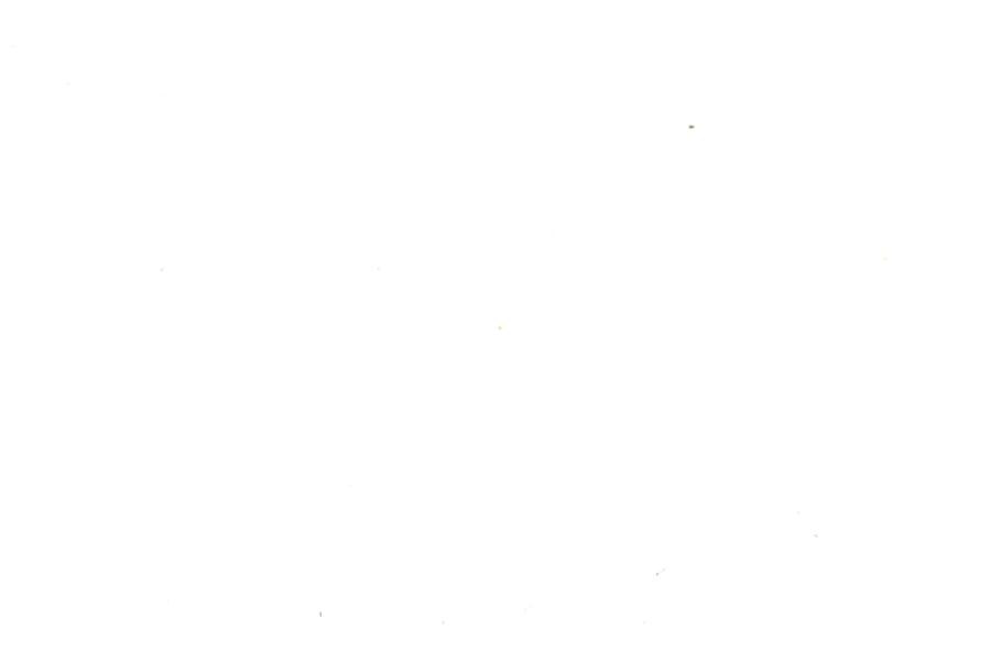 Image 30